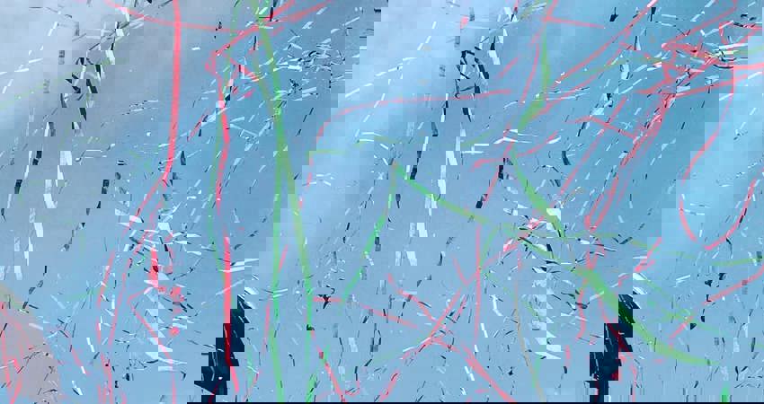 Celebrating with Tifosi – Join Red Eye Events at the Italian GP