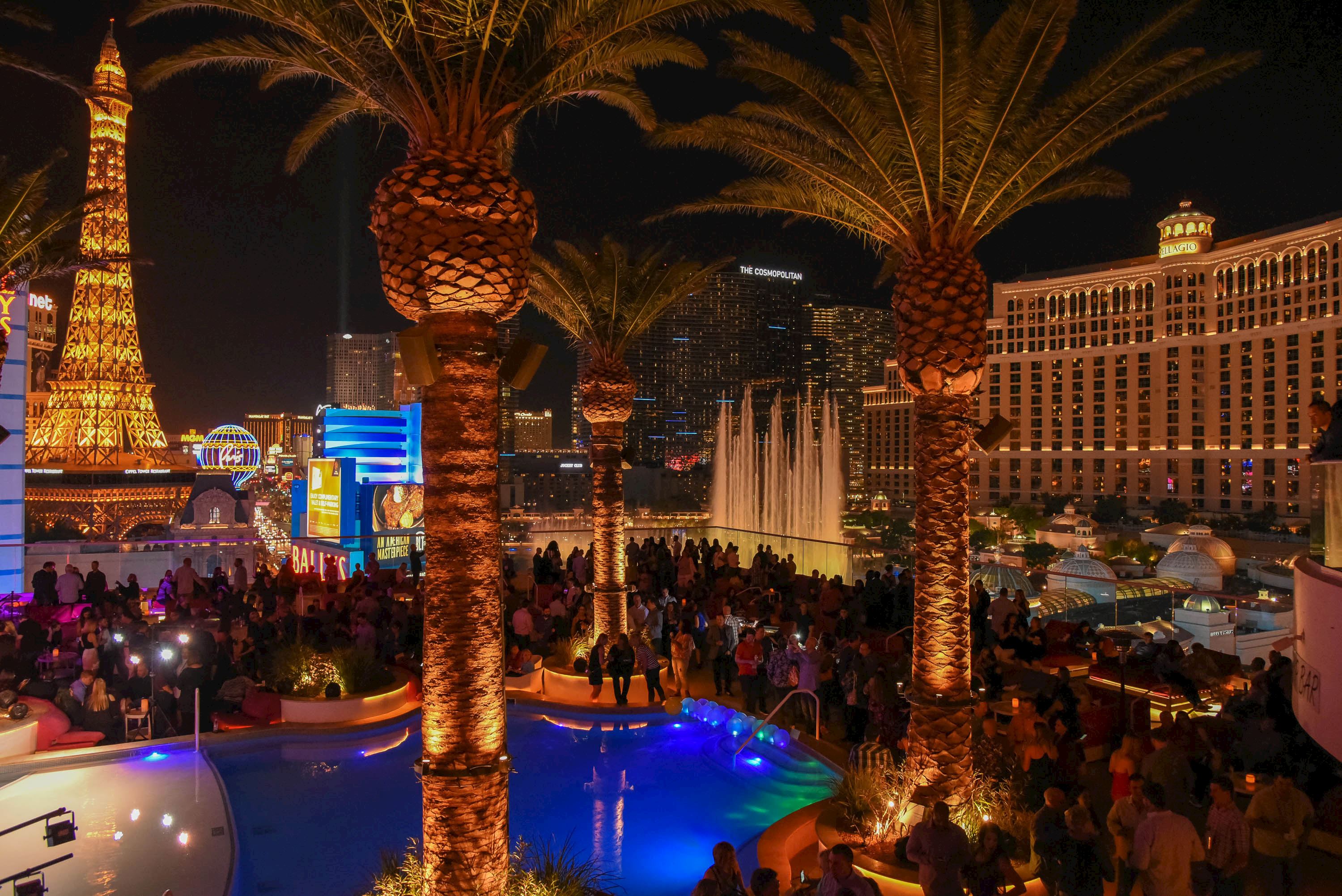 Top 5 Must-Do Activities in Las Vegas during the Formula One Grand Prix